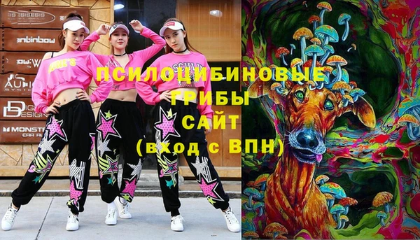 2c-b Вяземский