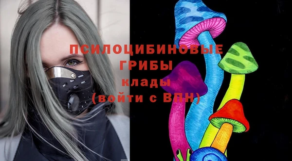 твердый Вязьма