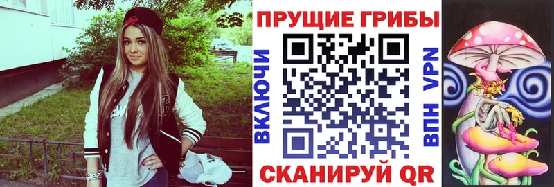 Галлюциногенные грибы Psilocybe  Павлово 