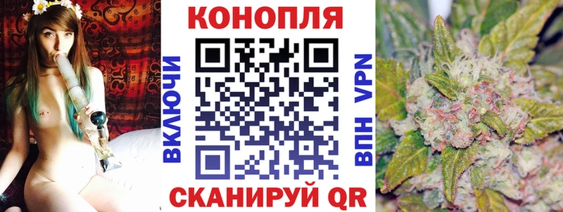 Конопля план  omg tor  Павлово 